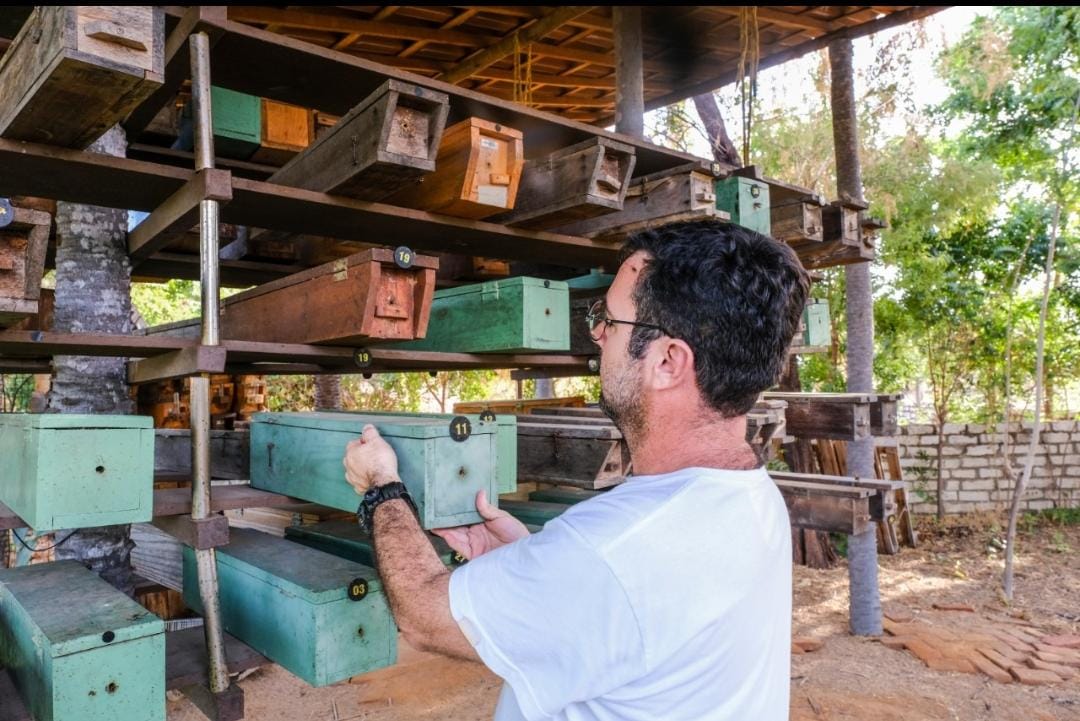 Série 365 perguntas e respostas para a Meliponicultura Sustentável da Jandaíra  (Melipona subnitida) nº01