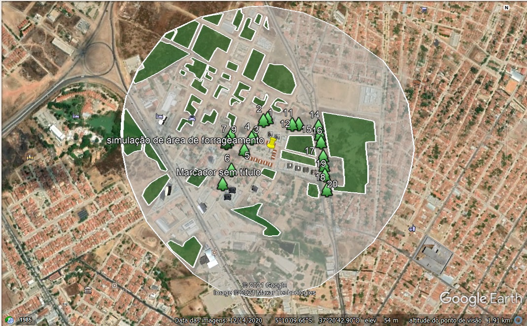 Safra 2020/2021 vamos planejar ?